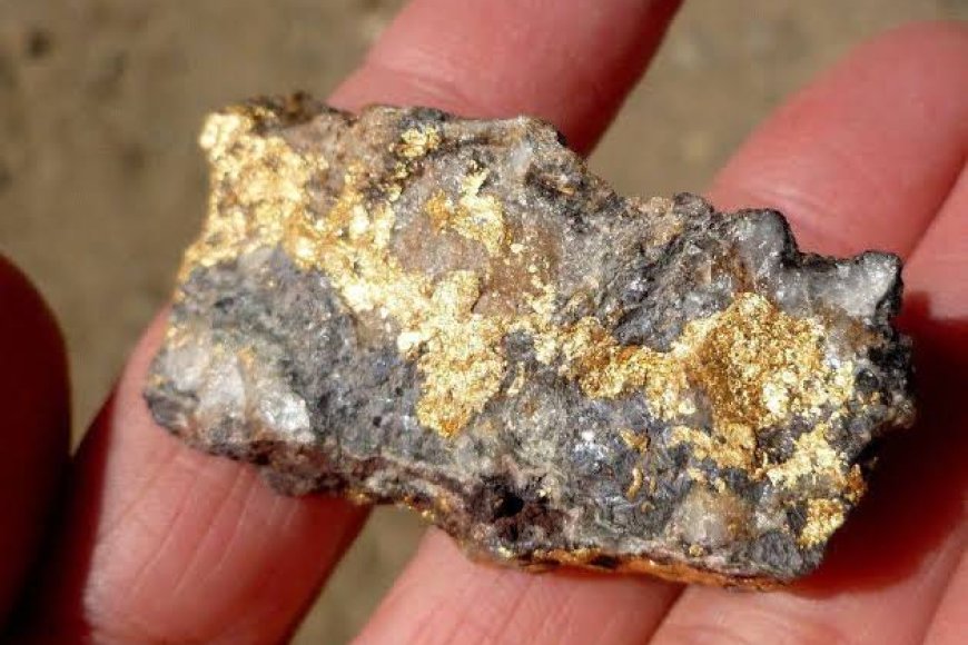 Türkiye’de Altın Madenciliği Tehdidi