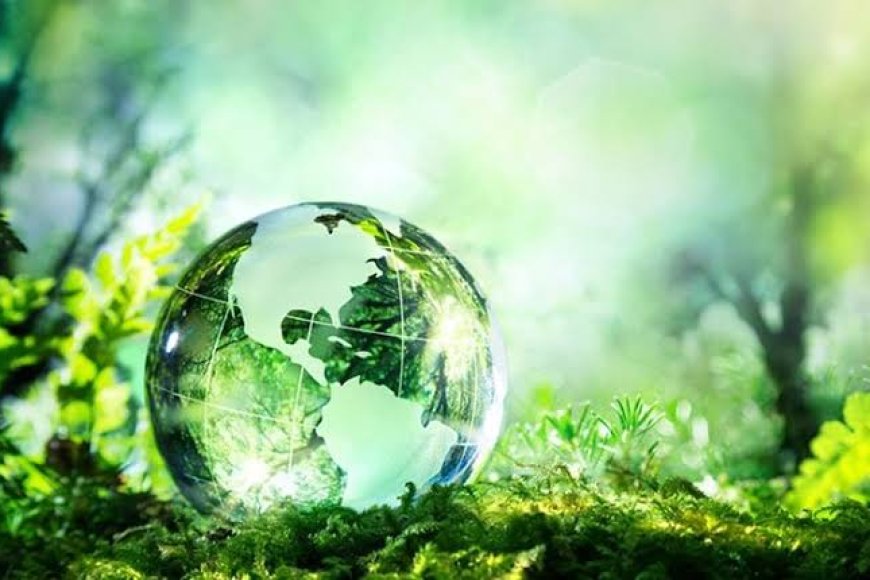 Çevre Bilinci ve Eğitim: Geleceğe Duyarlı Nesiller Yetiştirme Sorumluluğu