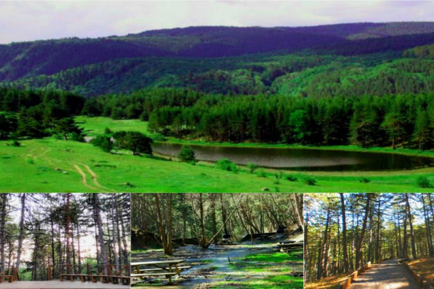 Soğuksu Milli Parkı: Orman Yürüyüşleri ve Termal Kaynaklar