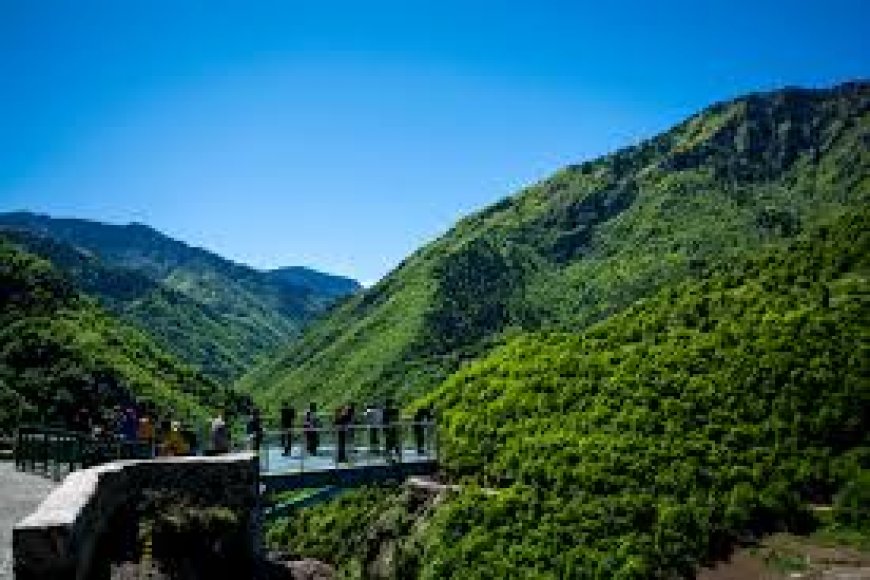 Hatila Vadisi Milli Parkı: Vadi Yürüyüşleri ve Doğal Güzellikler