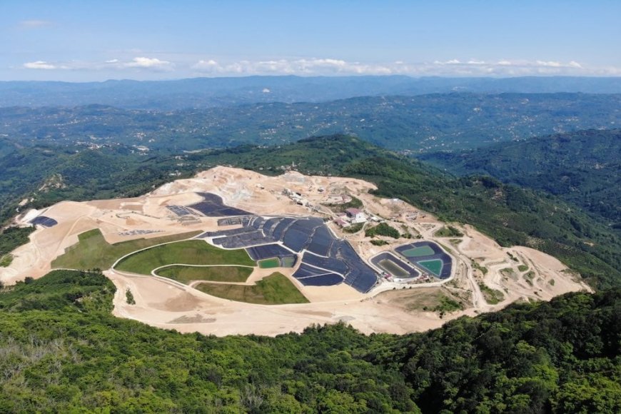 Doğa Temelli Çözümler: İklim Krizine Çare mi, Şirketler İçin Fırsat mı?