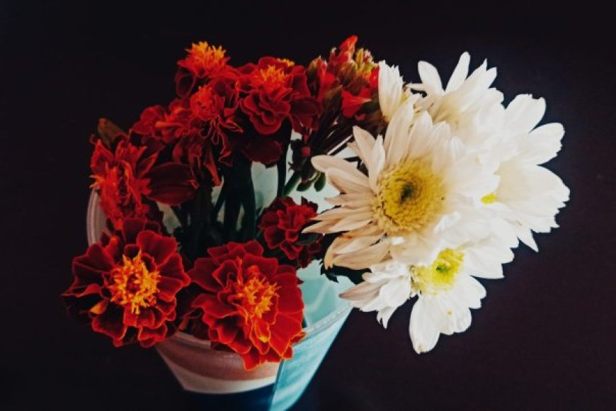 Hayatta Sevgi ve Aşkın Gerçek Anlamı