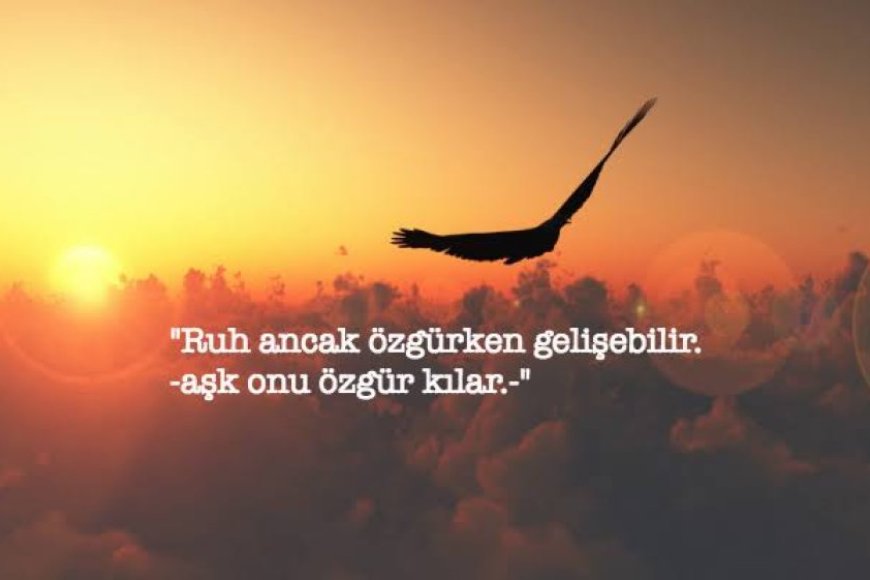 Aşk ve Ruhun Özgürlüğü