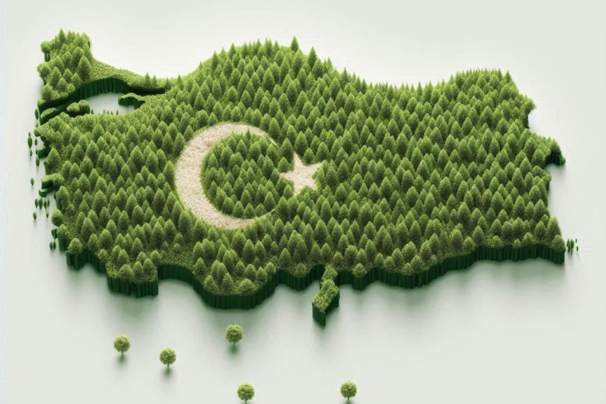 Yeşil Vatan Türkiye Ağaçlandırma Merkezi'nden Hatıra Ormanları Projesi