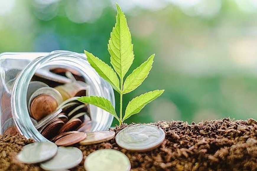 Yeşil Kapitalizm Kurtarıcı mı Kazanç Tuzağı mı?