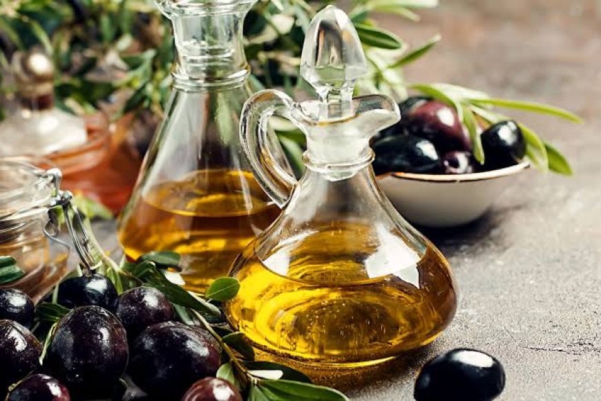 Castellon'un 2000 Yıllık Zeytin Ağaçları: Tarih ve Koruma