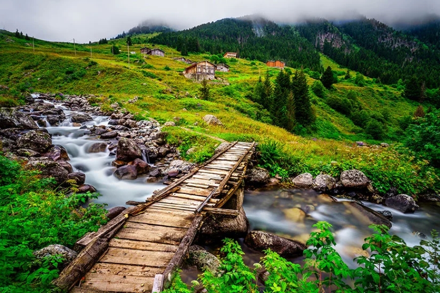 Karadeniz'in Keşfedilmeyi Bekleyen Yaylaları