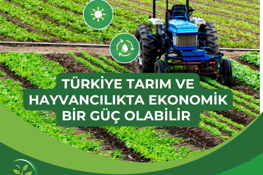 Türkiye'nin Tarım ve Hayvancılık ile Ekonomik Bir Güç Olma Potansiyeli Var.