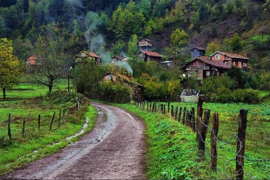 Kırsal Dönüşüm ve Türkiye’de Tarımın Yapısal Değişimi