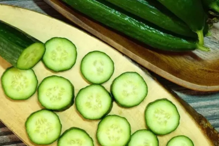 Soğanlarda görülen salmonella salatalıklarda da tespit edildi