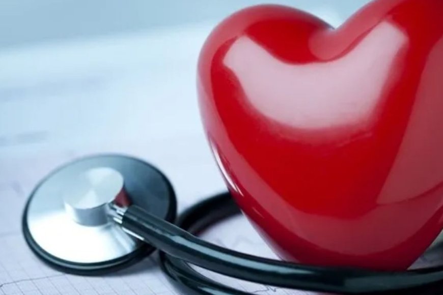 Bilim insanları açıkladı: Kalp sağlığını koruyan en etkili besin!