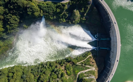 Jeoloji ve Ekoloji Arasındaki Derin Bağlantılar