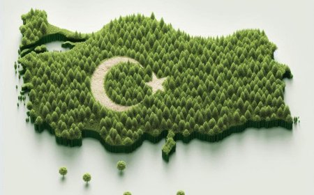 Yeşil Vatan Türkiye Ağaçlandırma Merkezi'nden Hatıra Ormanları Projesi