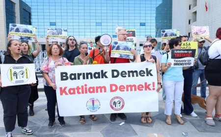 Mansur Yavaş'a hayvan barınağı ihalesi üzerinden tepki: Rant sağlıyorlar