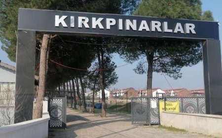 Tavuk Çiftliği Diye Tavuklara Özel Villalar Yaptılar(!)