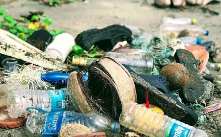 Ekolojik Soykırım Suç Olmalı