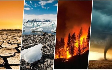 İklim Değişikliği ve Komplo Teorileri