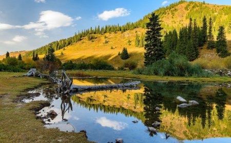 Yenilenebilir Enerji Adı Altında Sulak Alanlar Tehlikede
