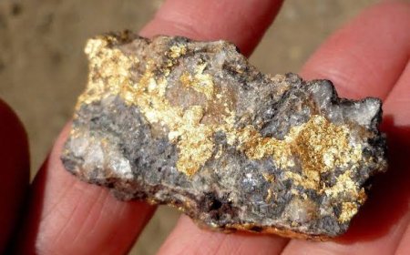 Türkiye’de Altın Madenciliği Tehdidi