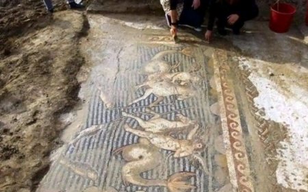 Adana Yumurtalık’ta Bulunan Eşsiz Eros Mozaiği: Mitolojinin Yeryüzüne Yansıması