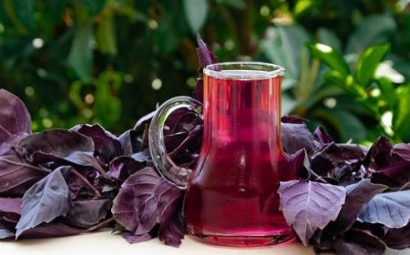 Reyhanın faydaları