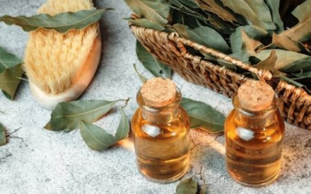 İltihap önleyici defne yaprağının sağlığa 10 faydası