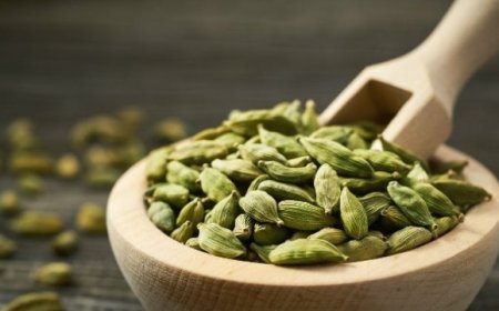 Kakule'nin faydaları nelerdir?