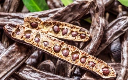 Mucize besin Keçiboynuzu Faydaları