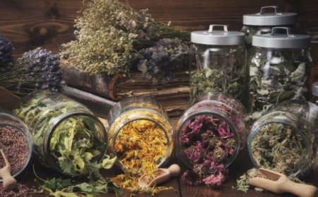 Hangi otlar şifalı ve neye iyi gelir?