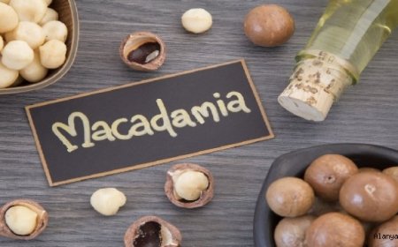 Cadı Fındığı (Macadamia)
