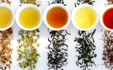 Siğil Giderici Şifalı Bitkiler