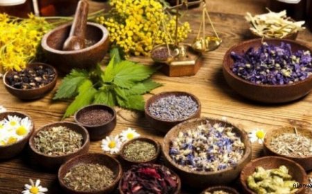 Milli ilacın temelini şifalı bitkiler oluşturacak