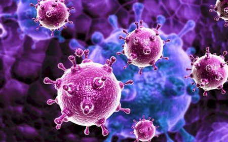 Uzmanlardan Batı Nil virüsü uyarısı