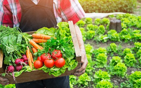 Uzmanlardan velilere uyarı: Çocukların doğal beslenmesine özen gösterin