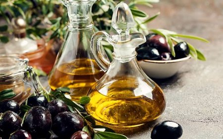 Castellon'un 2000 Yıllık Zeytin Ağaçları: Tarih ve Koruma