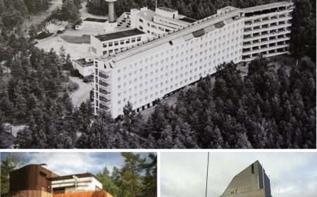 İskandinav'ın Dahi Mimarı Aalto