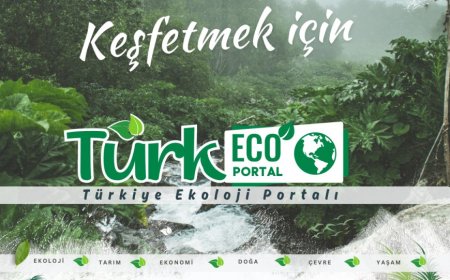 Ekolojiye Dair Güncel Haberlerin Yeni Adresi; Türkiye Ekoloji Portalı