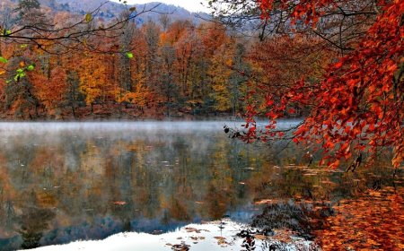 Yedigöller Milli Parkı: Doğanın Kalbinde Bir Kaçış