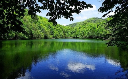 Yedigöller Milli Parkı: Doğanın Gizli Cenneti