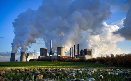 Dünyayı En Çok Hangi Ülkeler Kirletiyor?