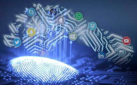 Dijital Ayak İzi: İnternet Çevreyi Nasıl Etkiliyor?