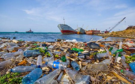 Denizlerimizdeki Kirlilikler ve Sebepleri