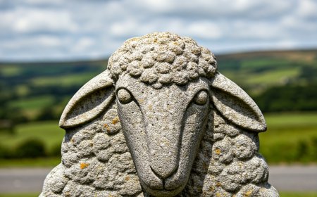 At-Koç-Koyun Biçimli Mezar Taşları: Tunceli'nin Gizemli Mirası