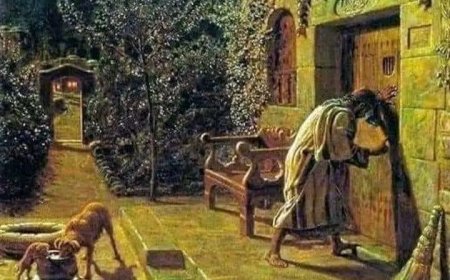 Evrenin Işığı: Kalbin Kapısını Aralayan Sanat