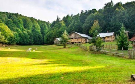 İznik Hacıosman Köyü: Doğayla İç İçe Bir Kaçamak