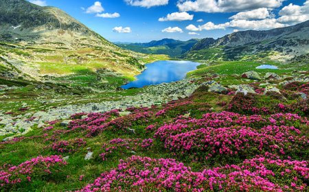 Tarihin İçinden Bulutlara Doğru: Romanya Karpat Dağları