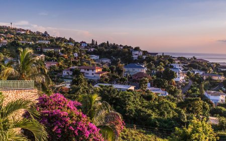 Kingston: Rengârenk Kültürü ve Doğasıyla Jamaika’nın Kalbi