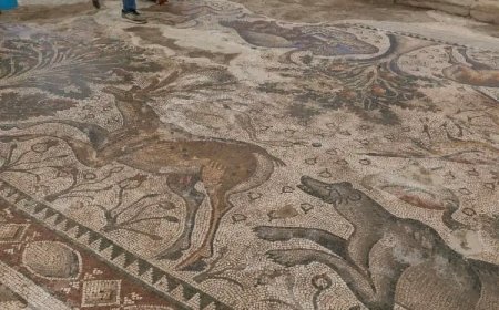 Elazığ'da Tarihi Bir Keşif: 84 Metrekarelik Mozaik