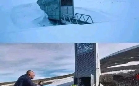 Dünyanın Sonunda Gizlenen Hazine: Svalbard Küresel Tohum Deposu