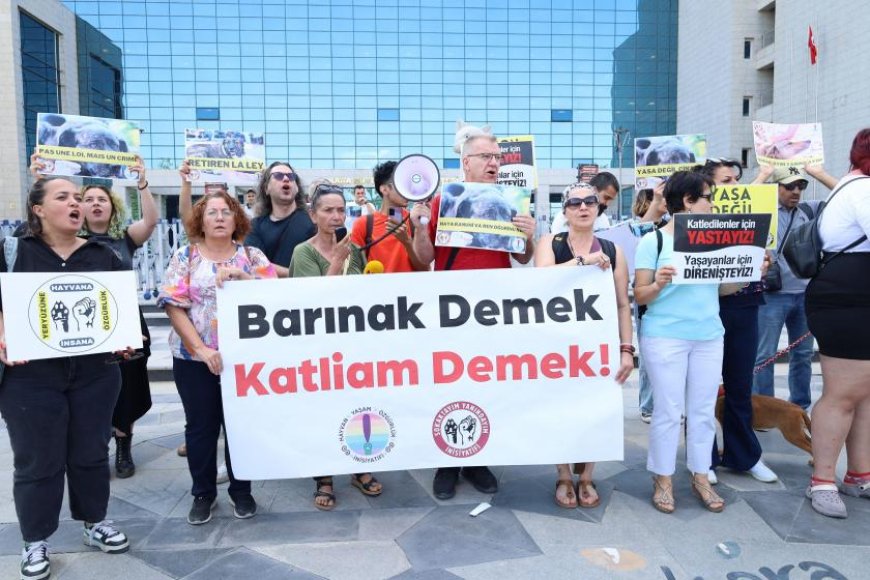 Mansur Yavaş'a hayvan barınağı ihalesi üzerinden tepki: Rant sağlıyorlar
